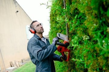 Tree Trimming