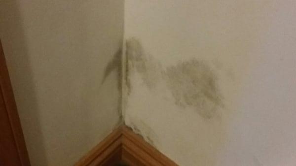 More mold directly outside guest rooms.