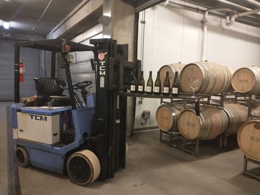 Private subterranean wine tasting in their cellar