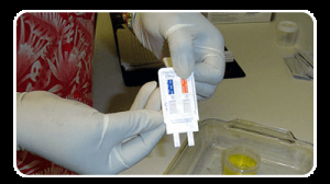 Accredited Drug Testing