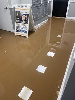 When it rains this is what happens in  this building where i pay $2,000 a month