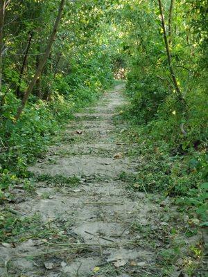 Picture perfect pathway