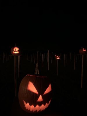 Pumpkins on pikes