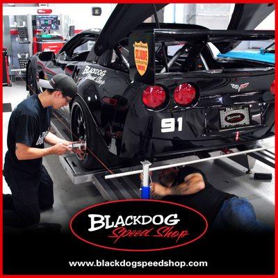 The Business of Grip - Make sure your setup is ready for the road or track. Get road gripping Blackdog power! (847) 634-7534