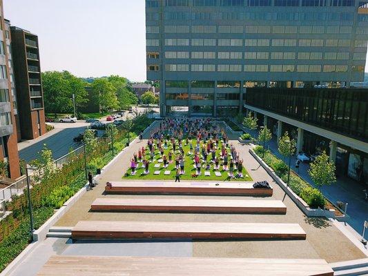 Outdoor Yoga