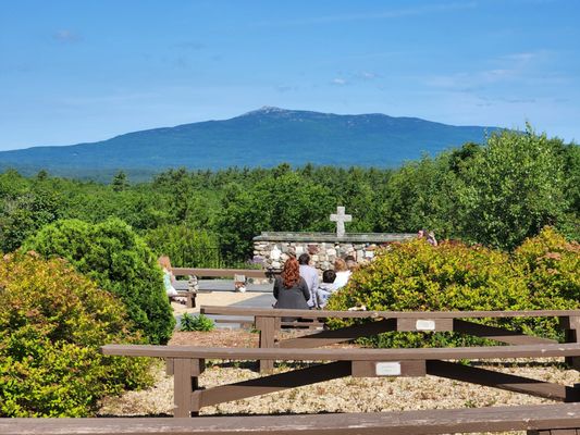 Cathedral of the Pines