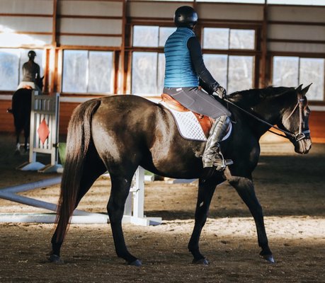 Quality horses and facility