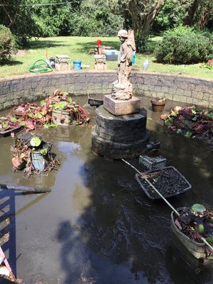 Pumping out the pond 3' of sludge to clean out of the bottom. Yum! Lol