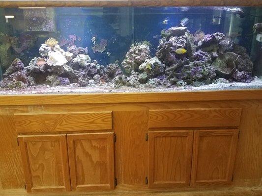 Feel free to stop by with your children and check out our 200 gallon aquarium