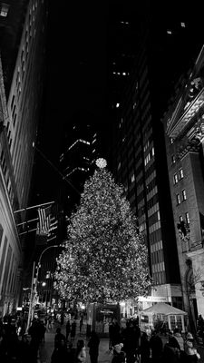 Black and white view of the Christmas tree