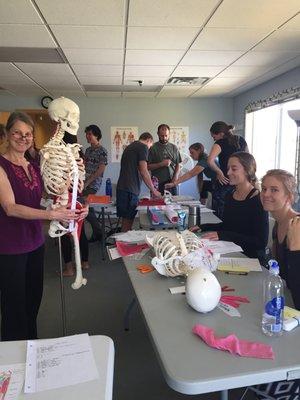 Anatomy fun at the Boulder Massage Therapy Institute located in sunny Boulder, CO, United States