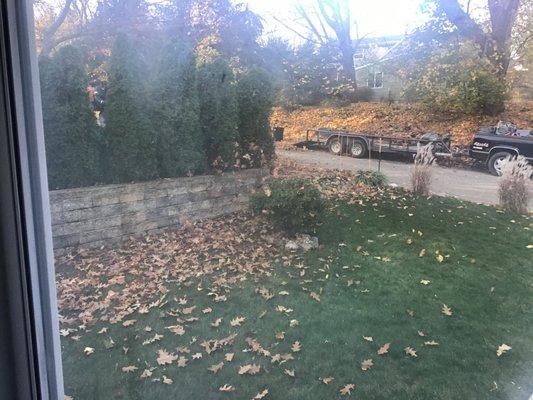 Background individual blowing into my yard...try raking the leaves