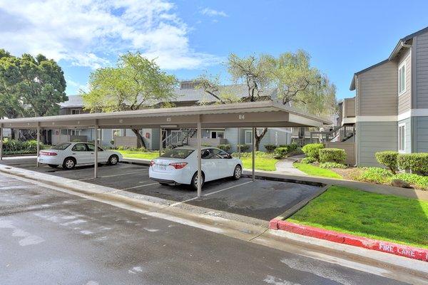 Keep your car out of the elements with carport parking