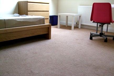 Rockaway Park Carpet Cleaning Pros