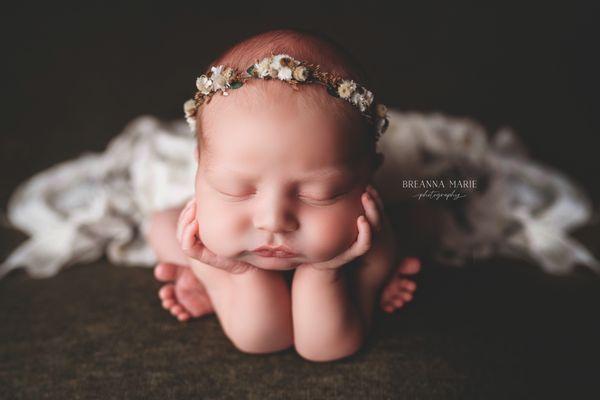 ri newborn photography