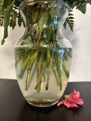 Close-up of water in a vase