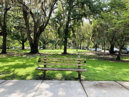 Bench along the way