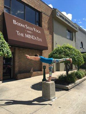 Bodhi Seed Yoga & Wellness