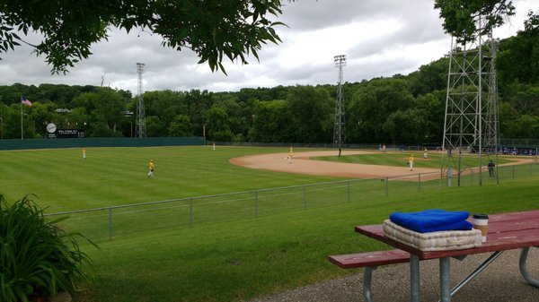 Outfield with lights