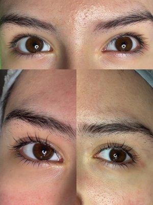 Lash lift (no tint)