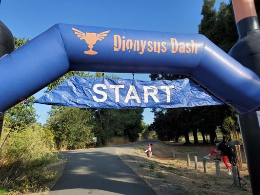 Dionysus Dash - Napa