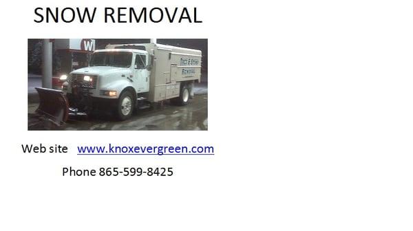 Ever Green Tree Service