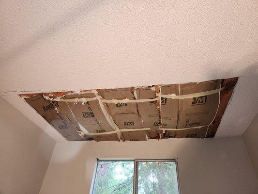 Ceiling Repair