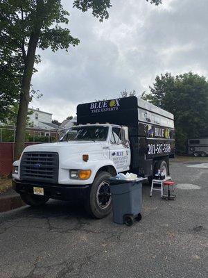 New Blue Ox Chip Truck