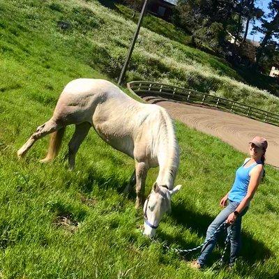 My horse and I were very happy at Oakland City Stables! This pic shows the stable's wonderful large arena in the background.