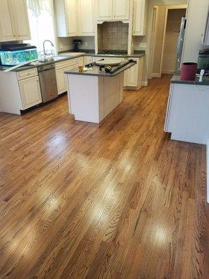 RED OAK HARDWOODS SANDED AND REFINISHED WITH AN EARLY AMERICAN STAIN AND THREE COATS OF OIL MODIFIED POLYURETHANE FINISH