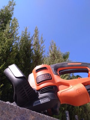 Black + Decker + Cypress + Sky