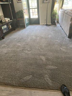 Carpet Cleaning