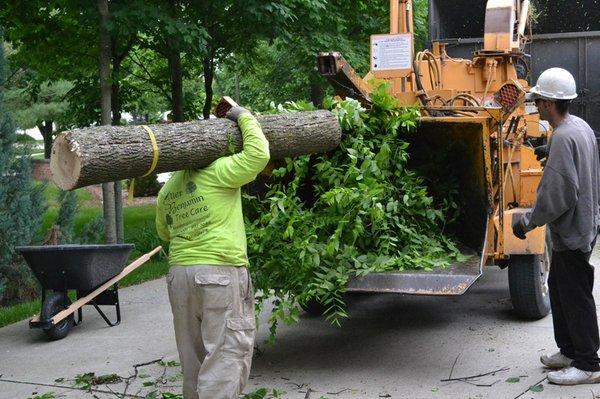 Tree Removal