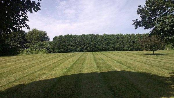 Lawn care in Henderson, NY