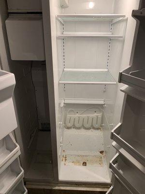 Dirty refrigerator before