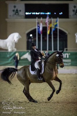 Megan and AJ competing in the West Coast Dressage Festival