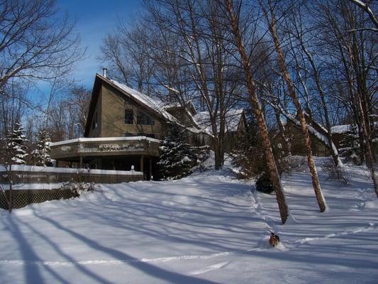 Snow turns our property into a winter wonderland