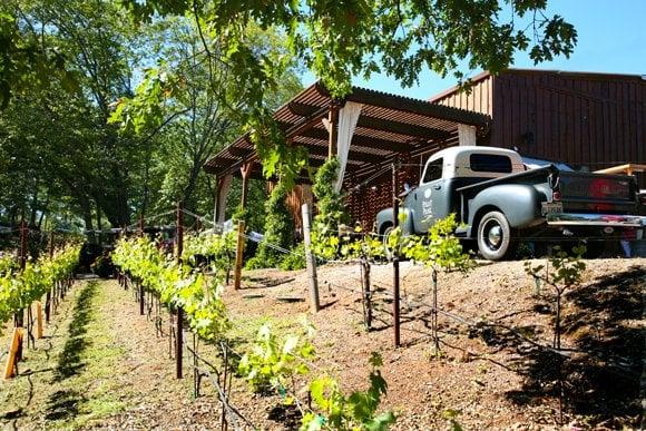 Pilot Peak Vineyard & Winery