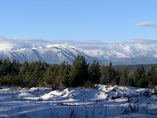 View from the entrance to our business park