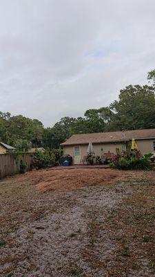 Tree removal after