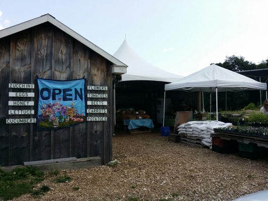 Great farm stand, lovely staff, fresh, healthy looking produce