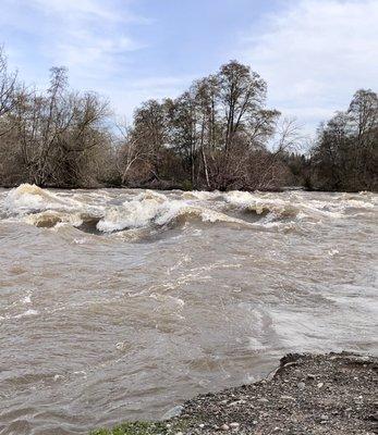 American River after the storm