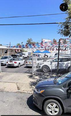 Car dealer of lemons