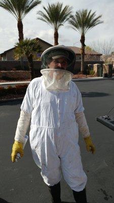 Townsend technicians have the expertise and experience necessary to safely and effectively remove bee and wasp infestations.