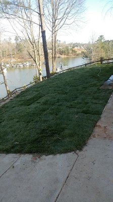 We install sod