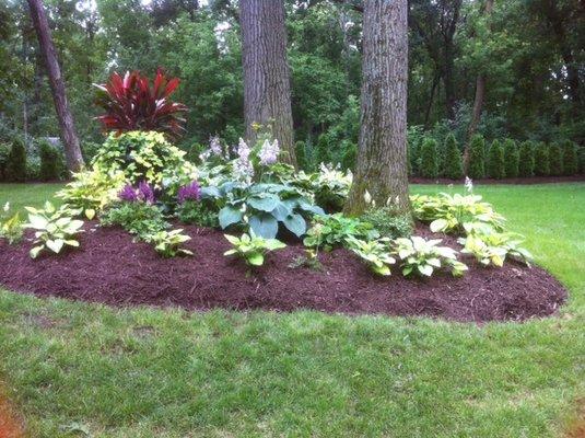 Looking for a mulch refresh? Here's one of ours!