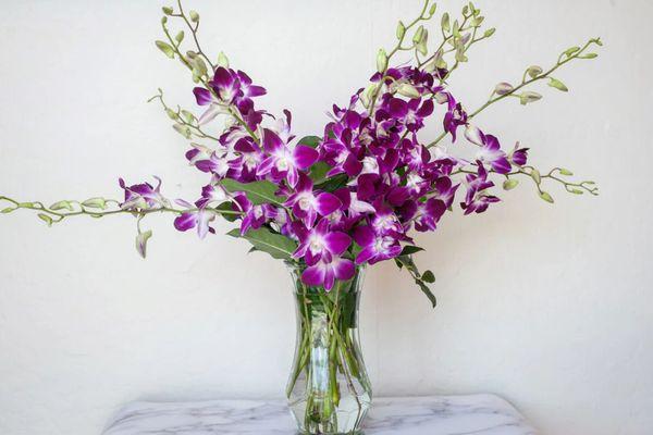 Orchids in a Vase