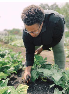 Frank Community Farm