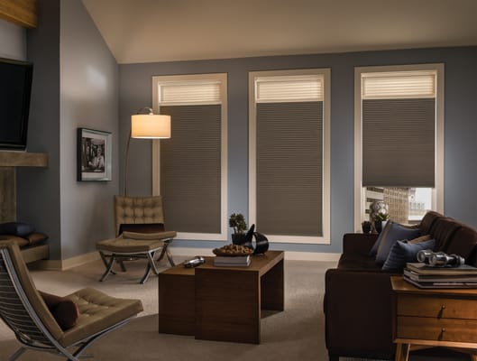 Mix and match window treatments, as seen in this soothing living room, featuring cellular and pleated shades.