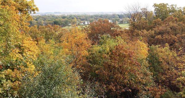 Chinkapin Bluffs Recreation Area